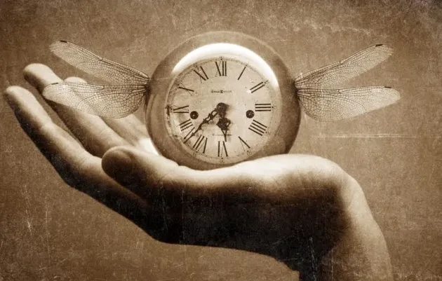 Cover image for Holding On to Borrowed Time
