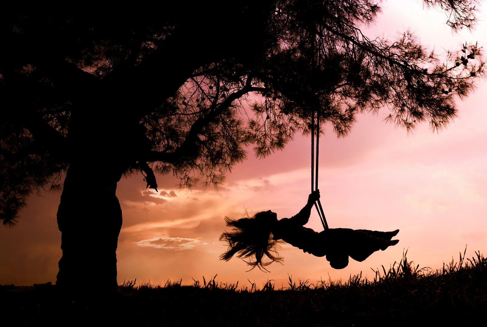 Cover image for Just Dream