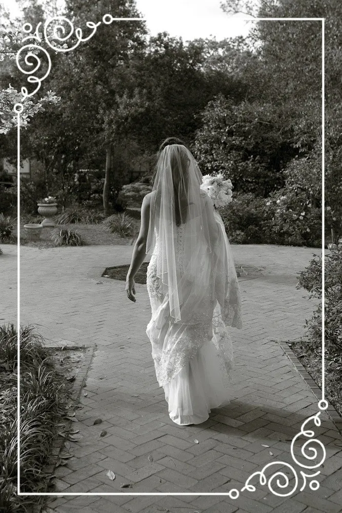 Cover image for My Beloved
