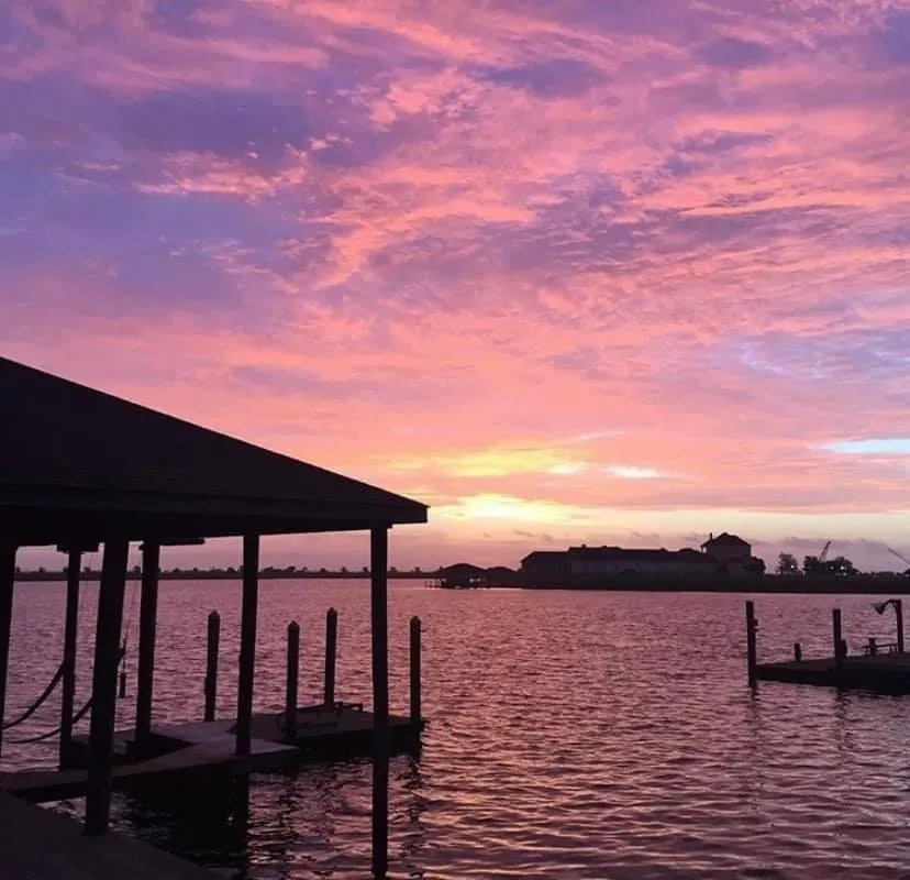 Cover image for Sunrise Skies & Dragonflies